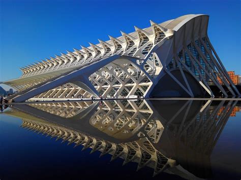 The Museo de las Ciencias Príncipe Felipe: A Playground for Inquisitive Minds!