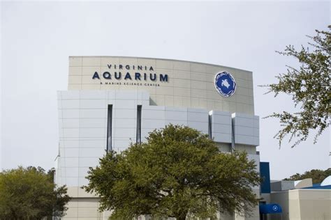 Virginia Aquarium & Marine Science Center: Discover Wonders of Aquatic Life in Norfolk!